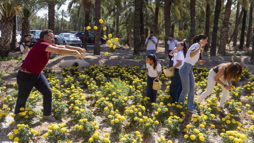 Munición lista para la Batalla de Flores