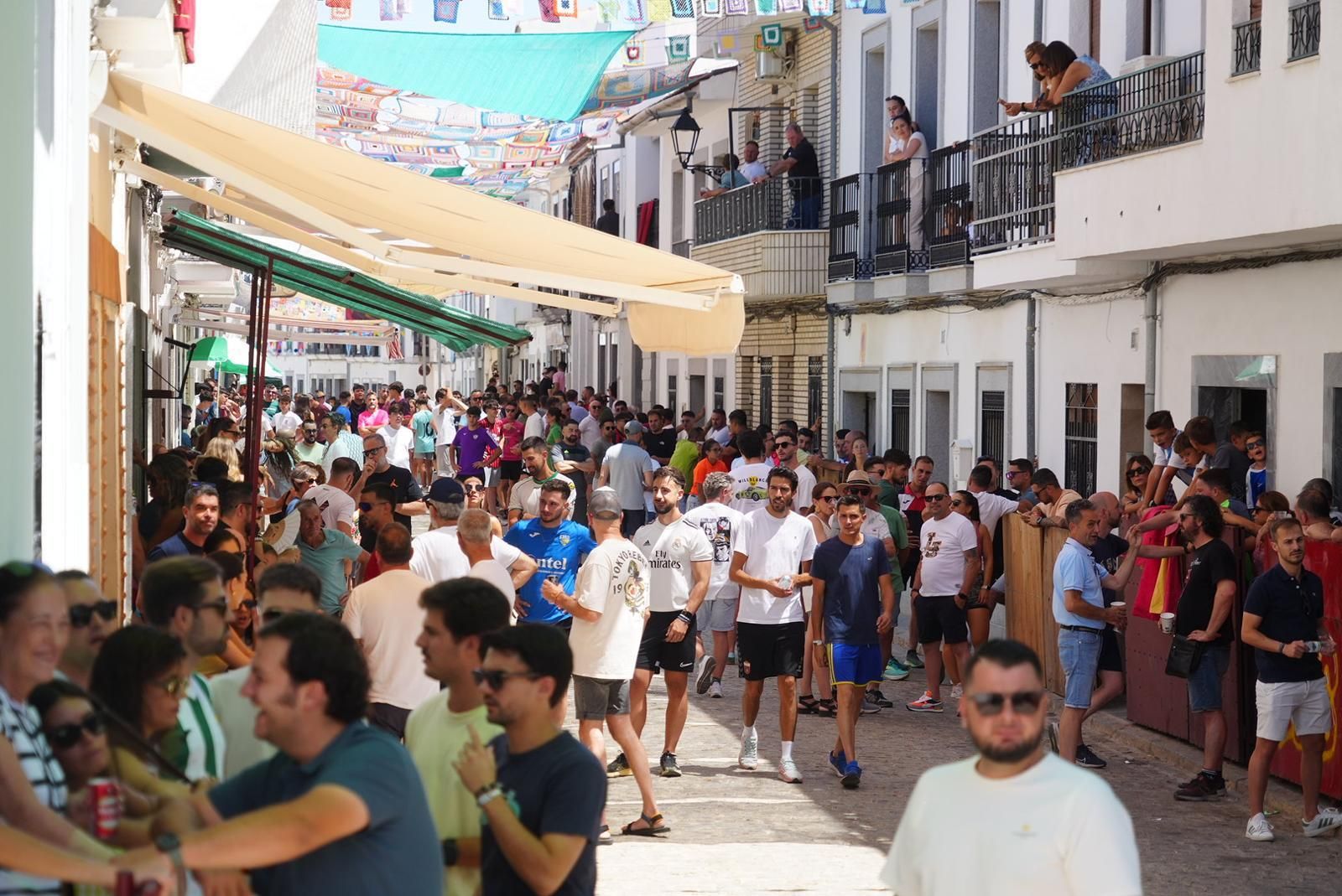 Gran ambiente, numeroso público y emoción en los encierros taurinos de El Viso