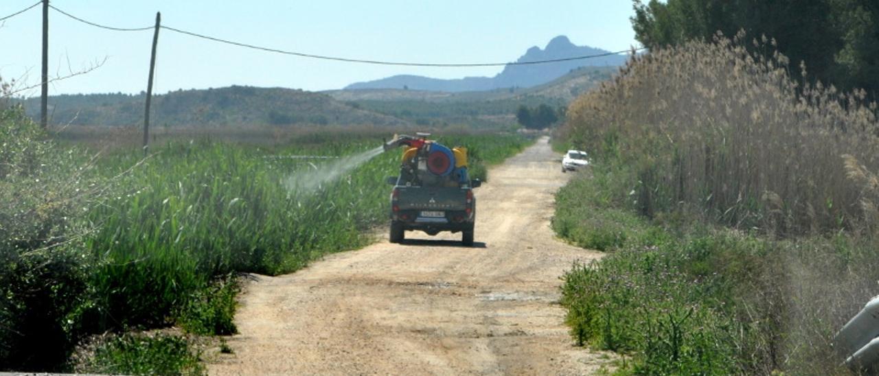 Fumigación contra los mosquitos en la acequia del Rey en Villena.