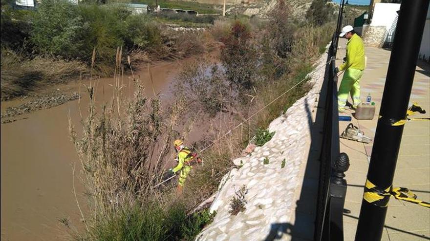 Eliminan la vegetación invasiva en las escolleras del río Genil