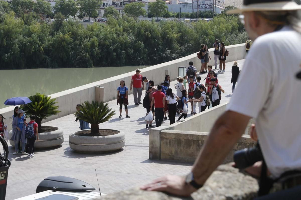 Fotogalería / Bolardos para el puente Romano