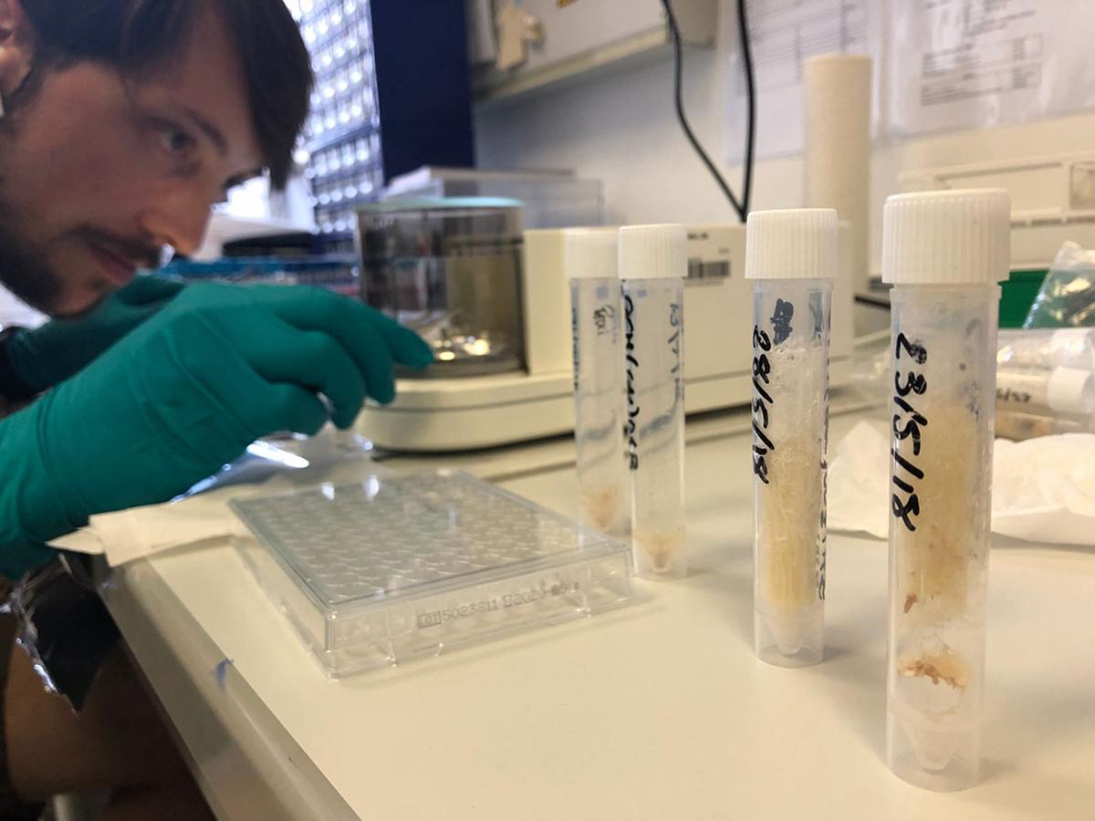 Patxi Pérez, en el proceso de trabajo de una investigación.