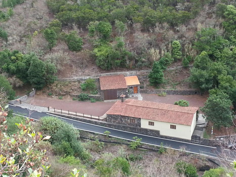 Visitas guiadas al bosque de Doramas