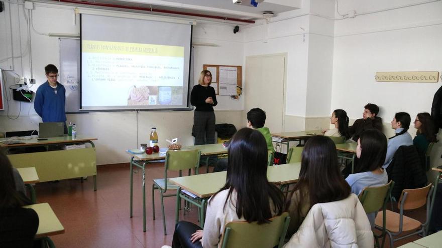 Només un 10% d'alumnes d'ESO i batxillerat verifica sempre la informació obtinguda amb IA, segons un estudi