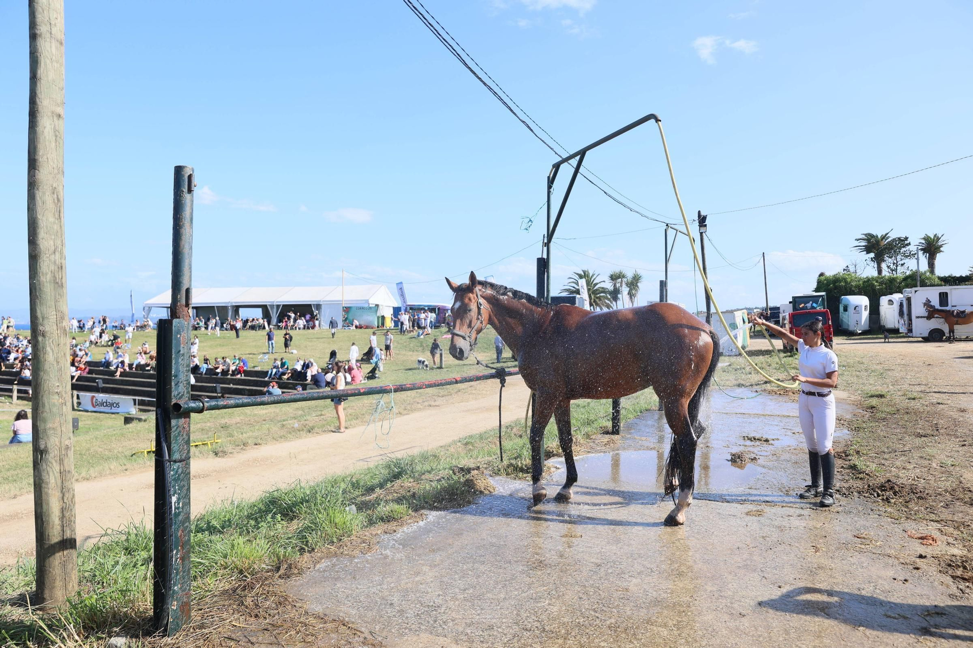 EN IMÁGENES: El concurso hípico de Luanco, un acontecimiento social en la villa