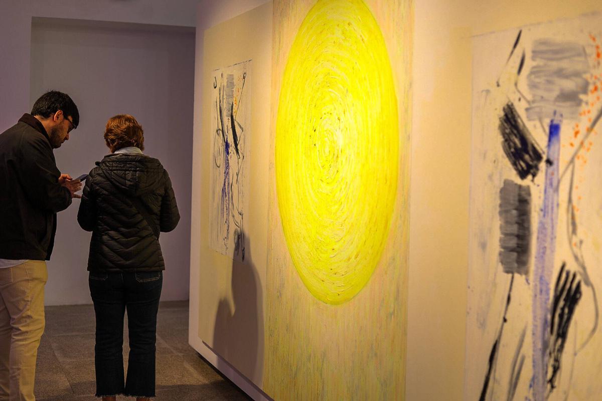 Zamora. exposición "Luz habitada" de Ignacio Parrilla. fotos variadas