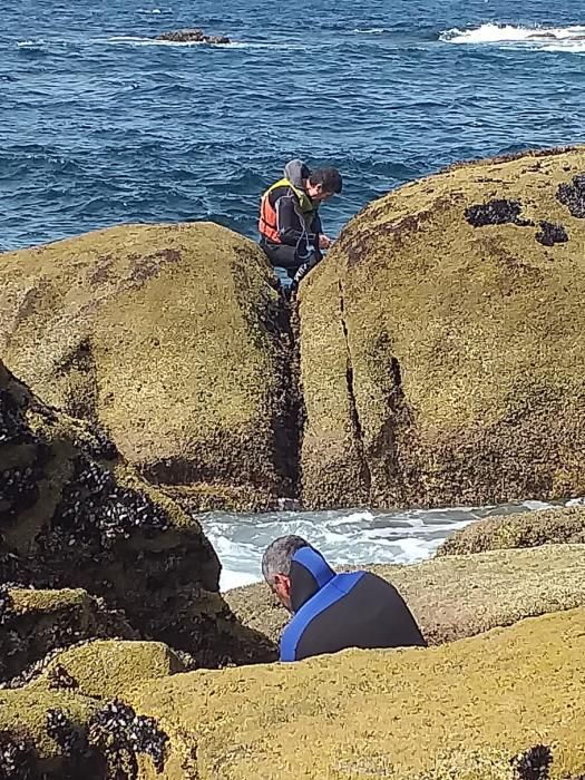 La actividad marisquera se intensifica en la ría