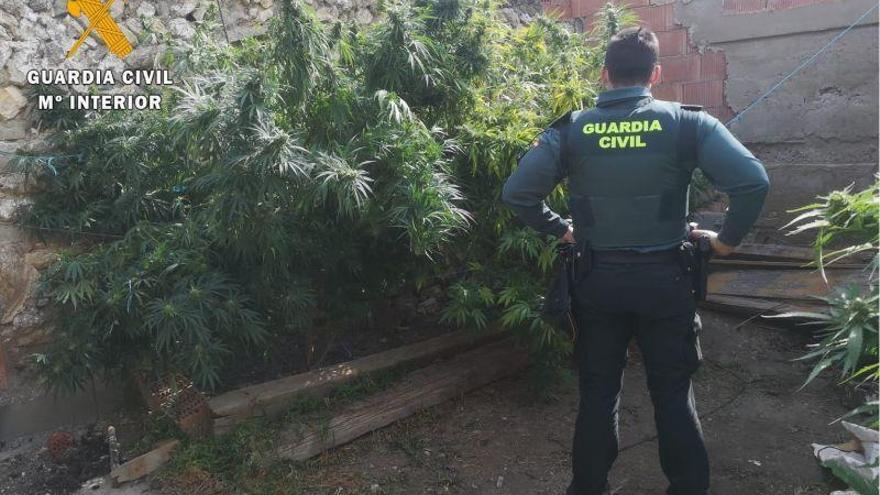 La Guardia Civil desarticula un punto de venta de marihuana en la Comarca de los Monegros