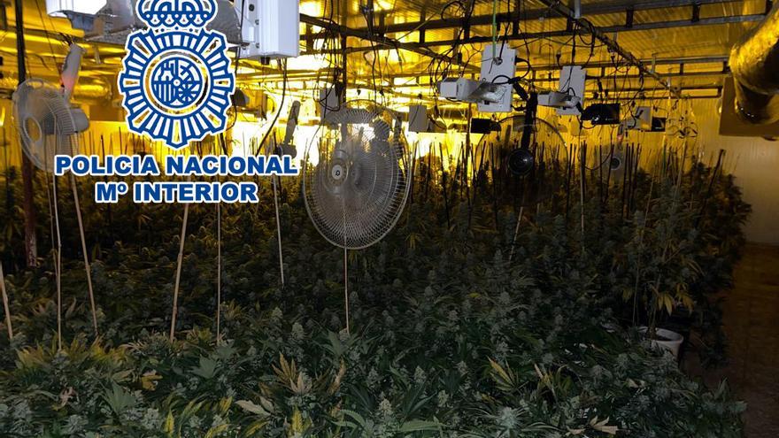 Nave industrial en Carrús donde se cultivaba la marihuana