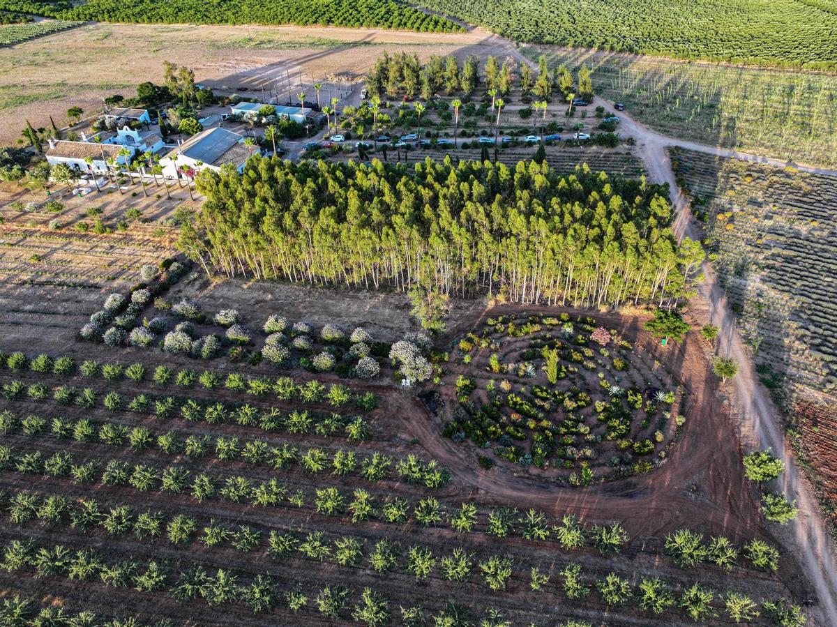 Vista aérea del laberinto de plantas aromáticas de Finca Las Coronas.