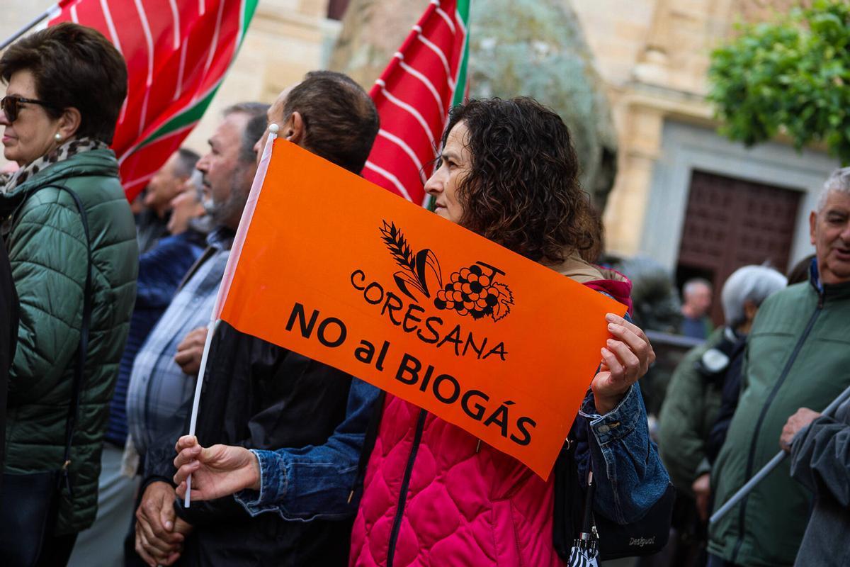Ni molinos ni biogás: la oposición al nuevo mapa energético convoca a un millar de zamoranos en la capital