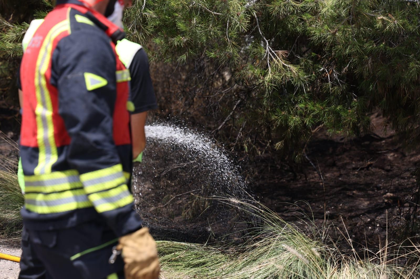 Los bomberos sofocan un fuego junto a la salida del túnel de la autovía