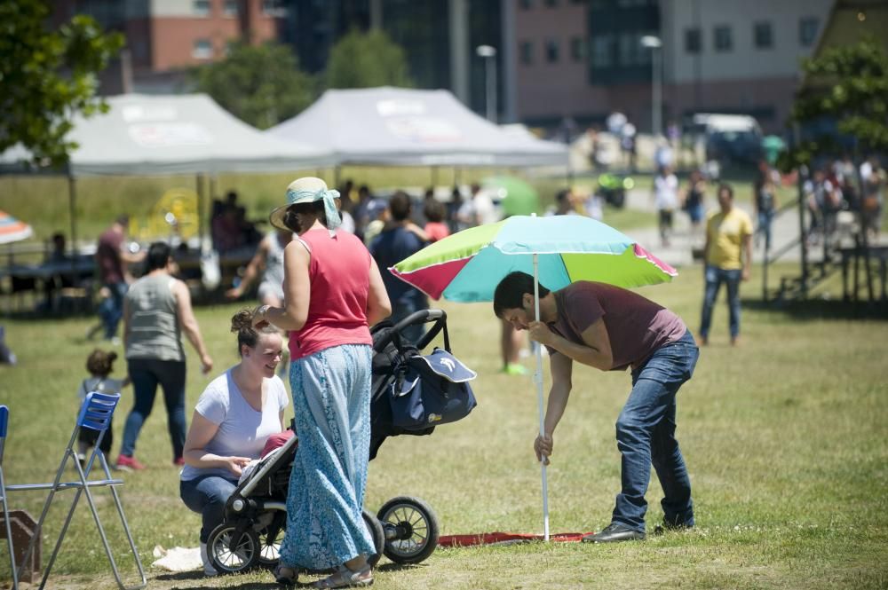 La Asociación de Empresarios y Profesionales de Novo Mesoiro organiza una romería con comida y verbena.