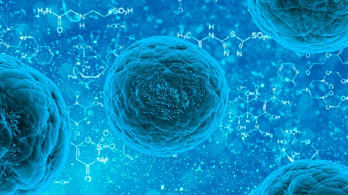 25 muertes al año por esta bacteria