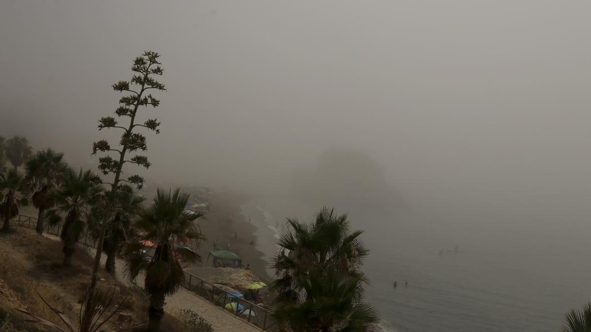 Domingo de taró en el litoral malagueño