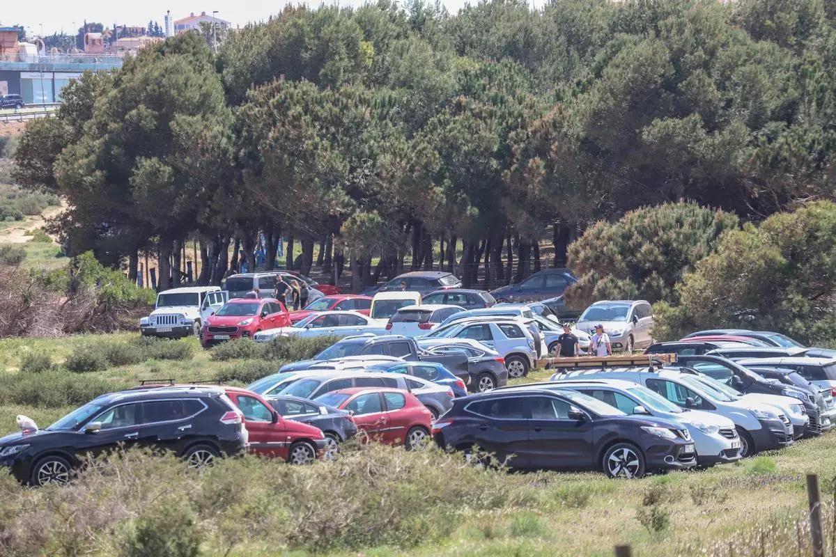 Cientos de vehículos emplean las zonas de "predominio Agrícola A del Plan del Ordenación de Recursos Naturales" del parque natural como aparcamiento