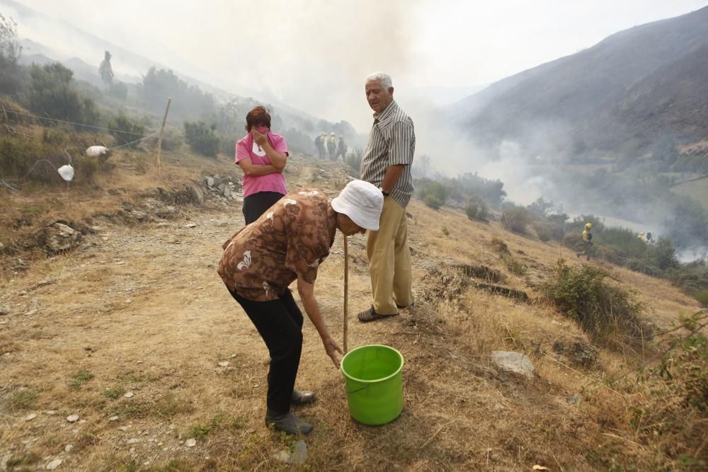 Incendio en los montes de León