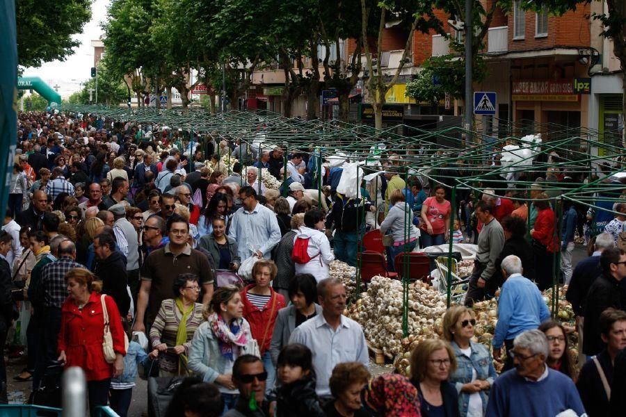 Fiestas San Pedro 2017: Feria del Ajo