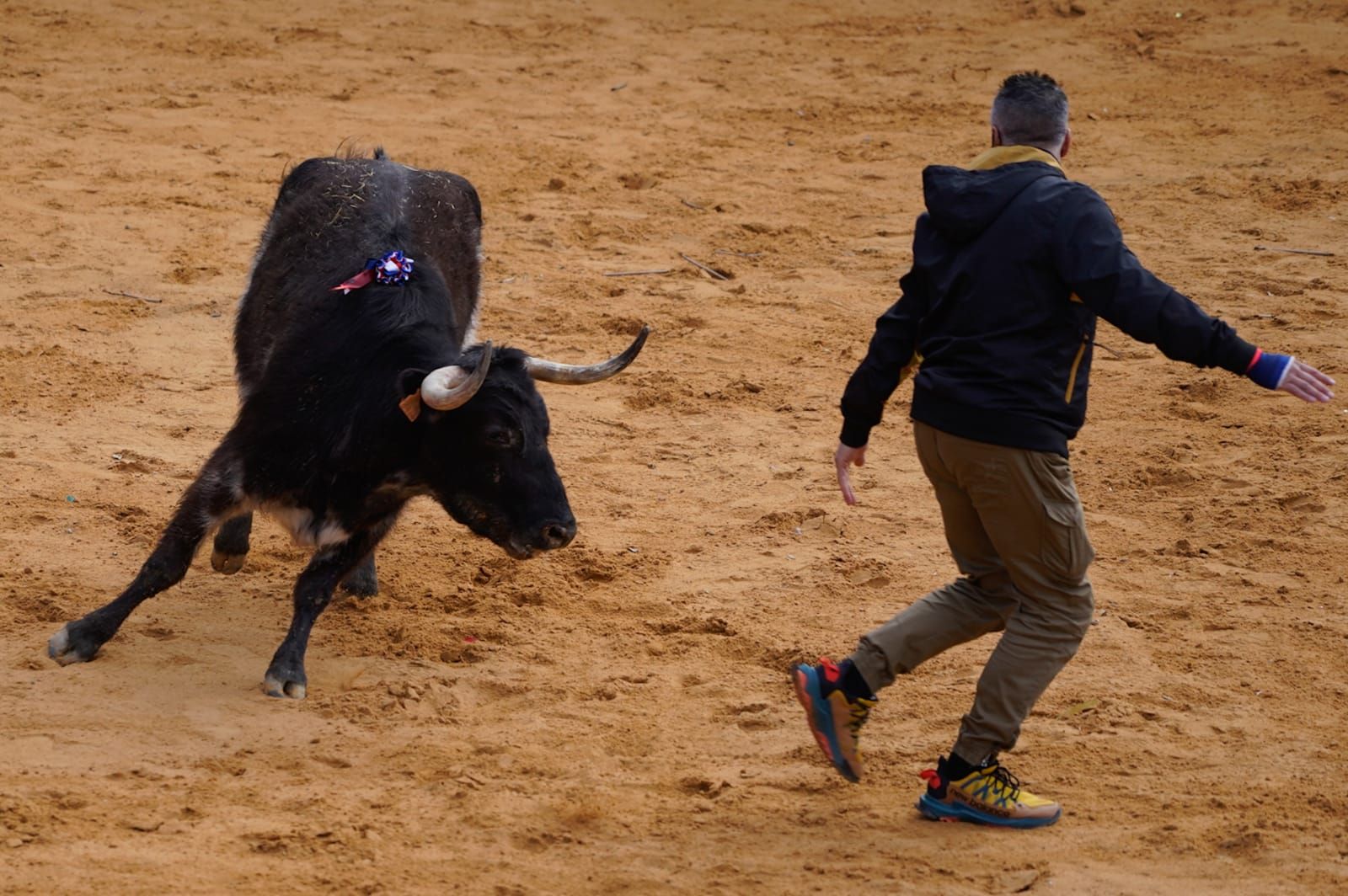 GALERÍA | Vuelve el Toro de la Purísima a Villalpando: así se ha celebrado el festejo taurino