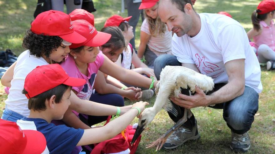 Els nens veuen i, fins i tot, poden tocar els pollets