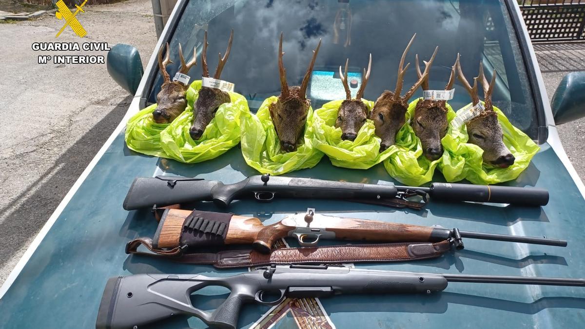 Las cabezas de corzo encontradas por la Guardia Civil