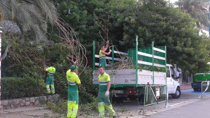 Benidorm tiene listos los pliegos para licitar el mantenimiento de las zonas verdes