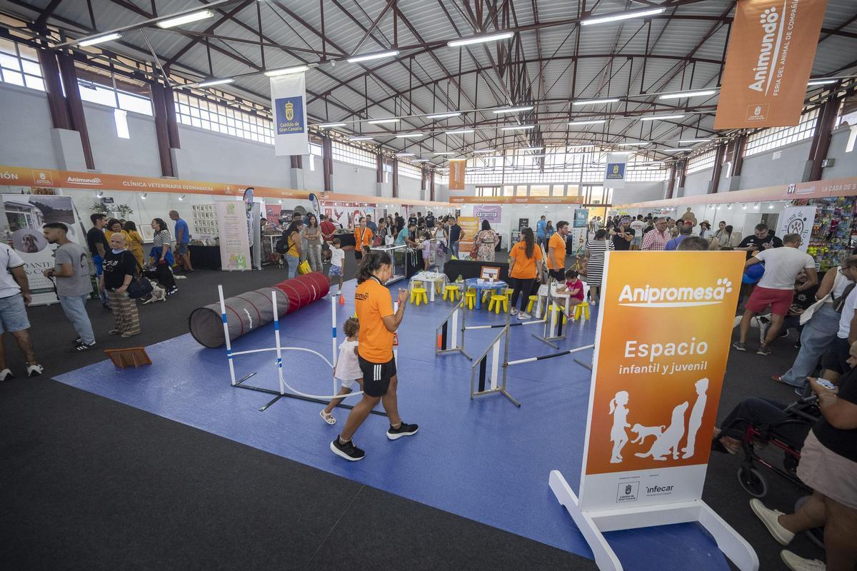 Animundo abre sus puertas en busca de adopciones para toda la vida Animundo abre sus puertas en busca de adopciones para toda la vida