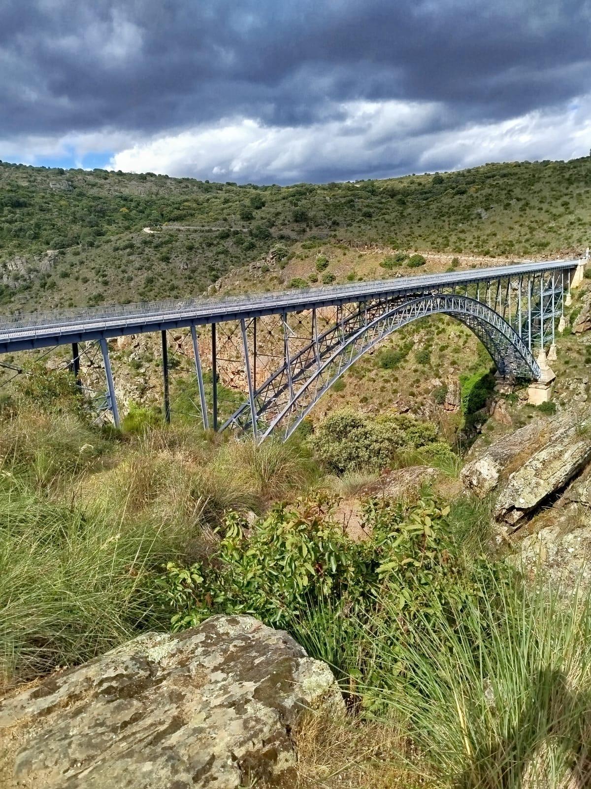 Imagen de la carretera del "Puente Pino"
