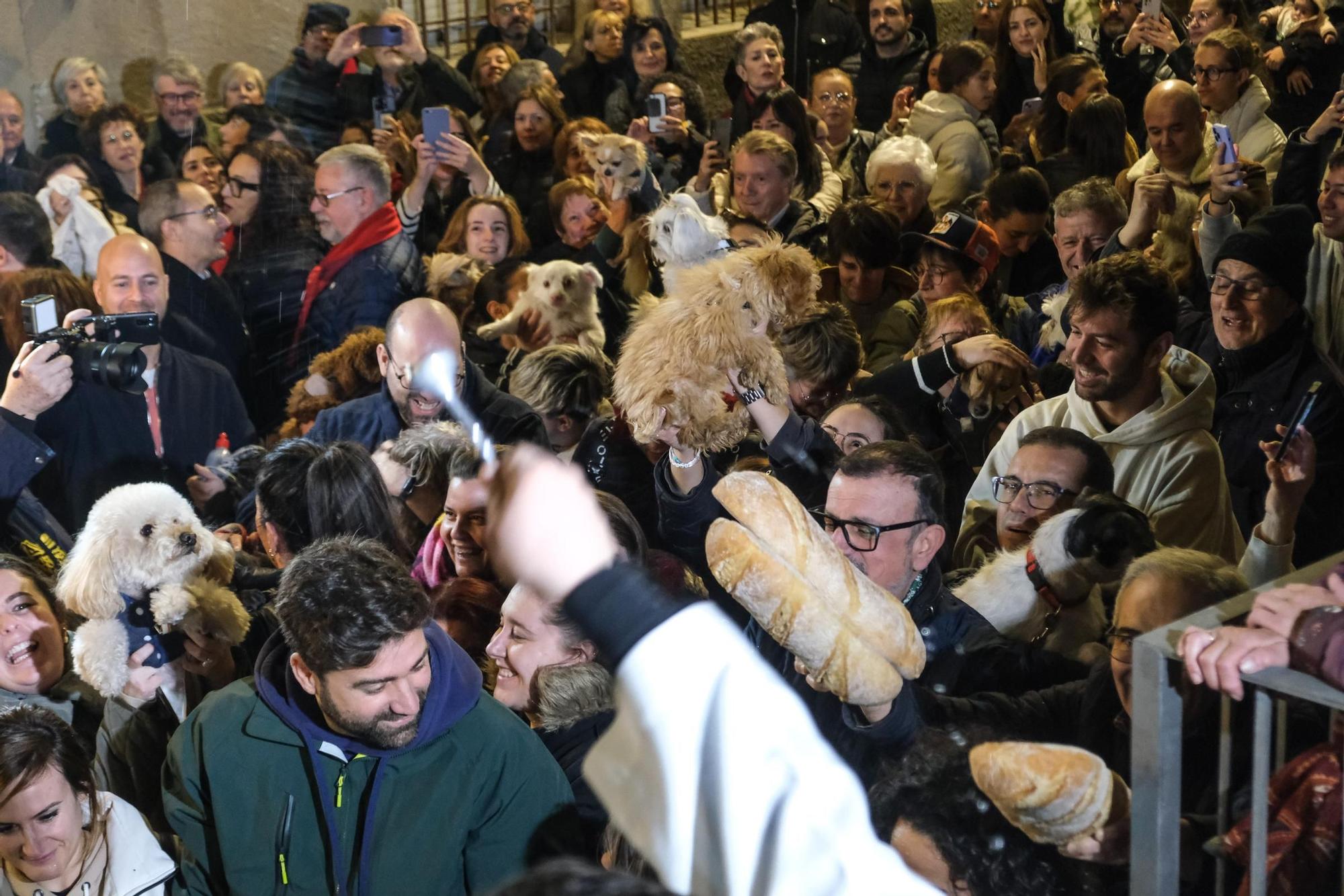 Así ha sido la celebración de la festividad de San Antón en Elda