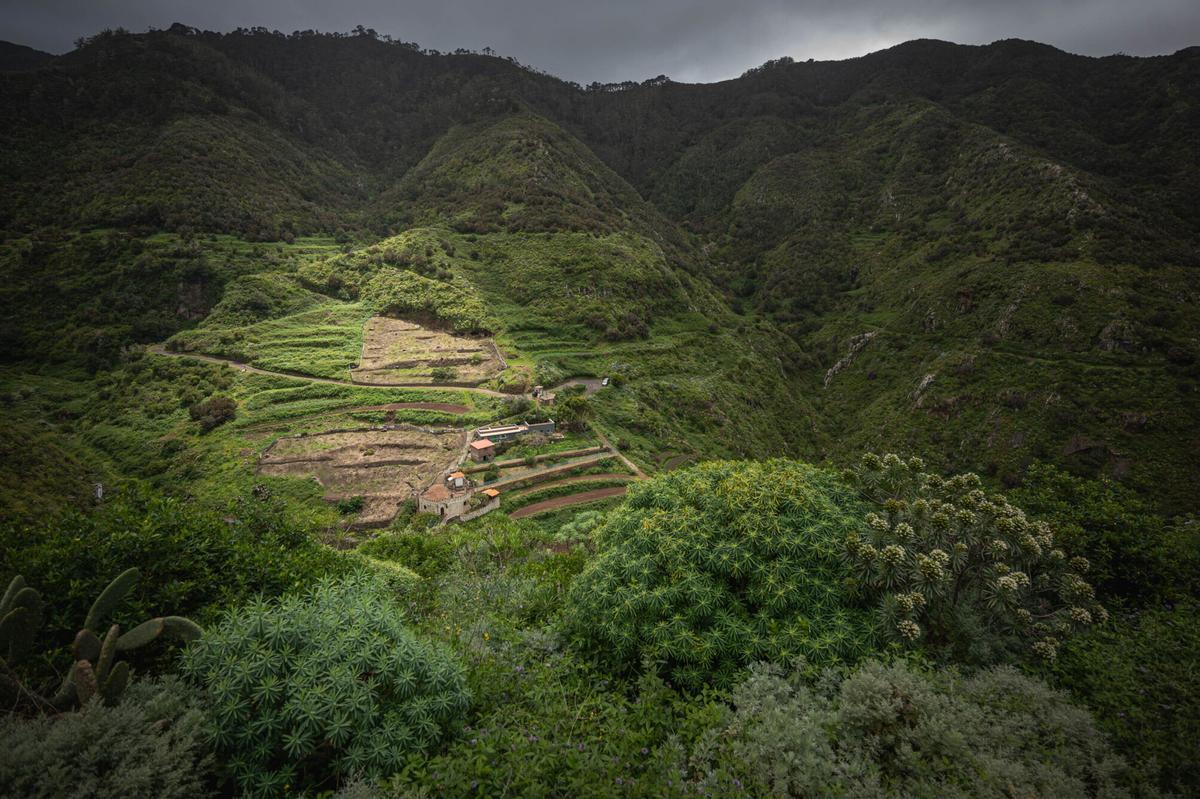Tenerife vaciada: Bejía, en La Laguna