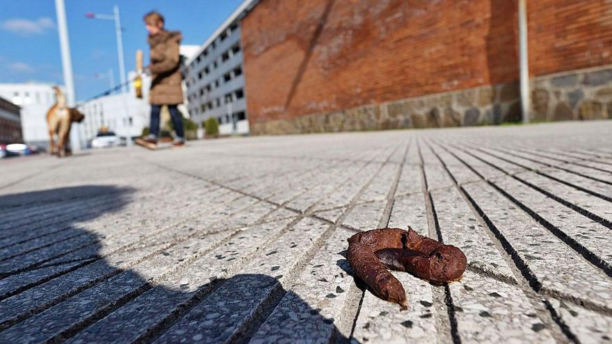 Mieres solo impuso dos multas el pasado año por no recoger excrementos caninos