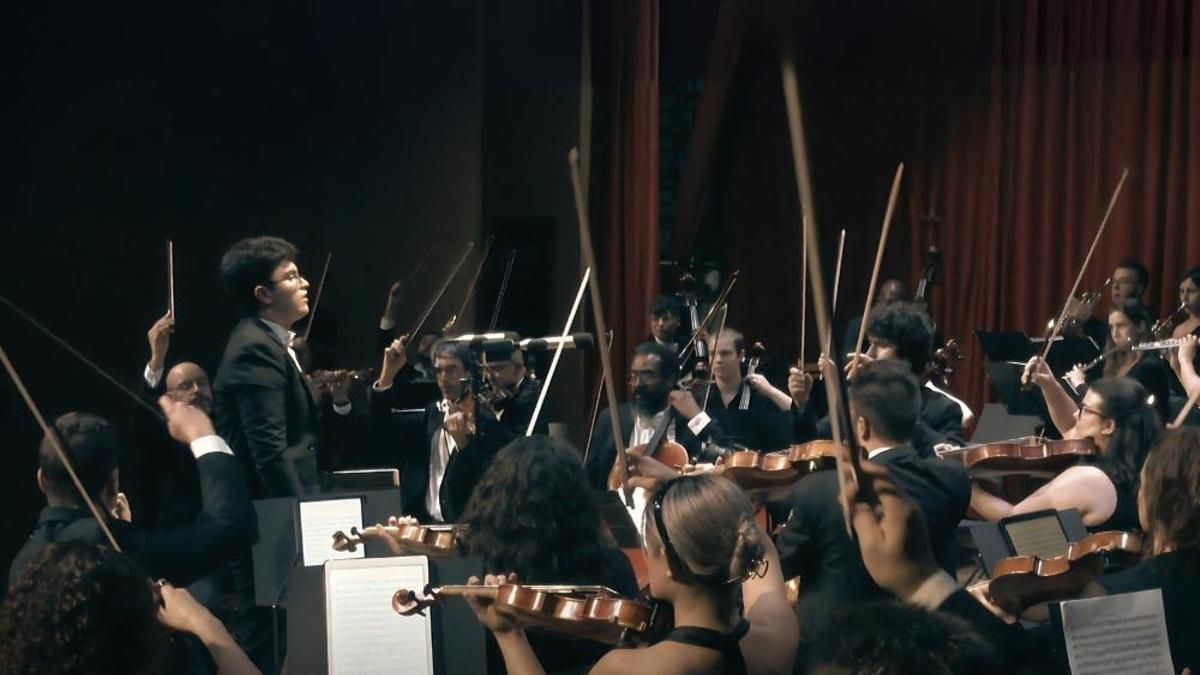 La Mediterranean Chamber Orchestra realizará un concierto de Navidad en Novelda bajo la dirección de Carlos Santo
