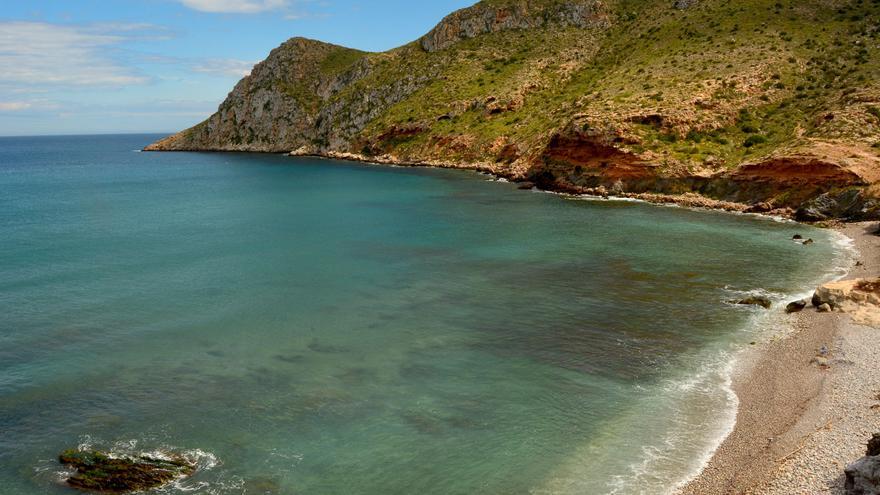 ANSE y WWF piden ampliar los límites de la Reserva Marina de Cabo Cope en Murcia