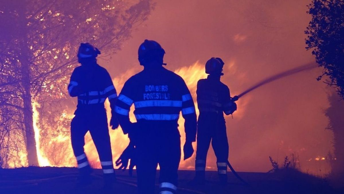 Tres bomberos durante la extinción del incendio forestal en Azuébar en 2021.