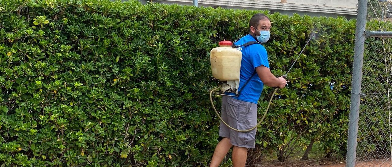 Imagen e archivo de un operario realizando tareas de fumigación en los setos en una urbanización de la capital.