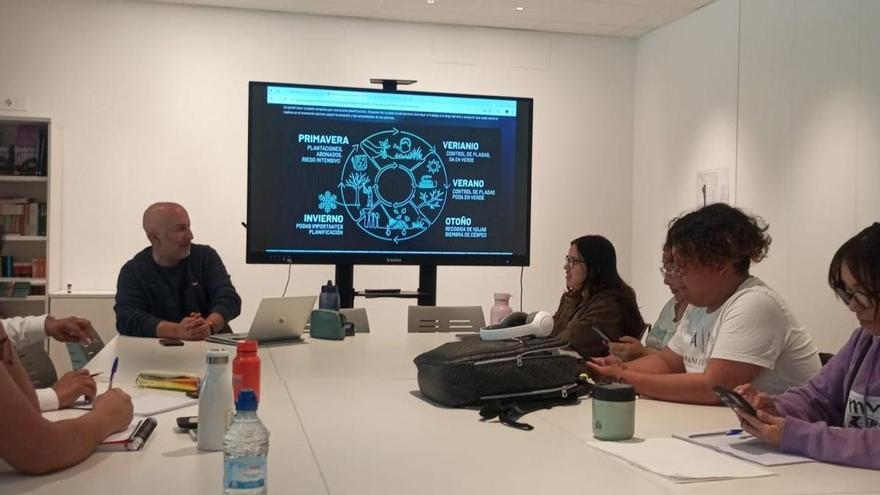 Cáritas Arousa impulsa empleo, apoyo emocional y convivencia