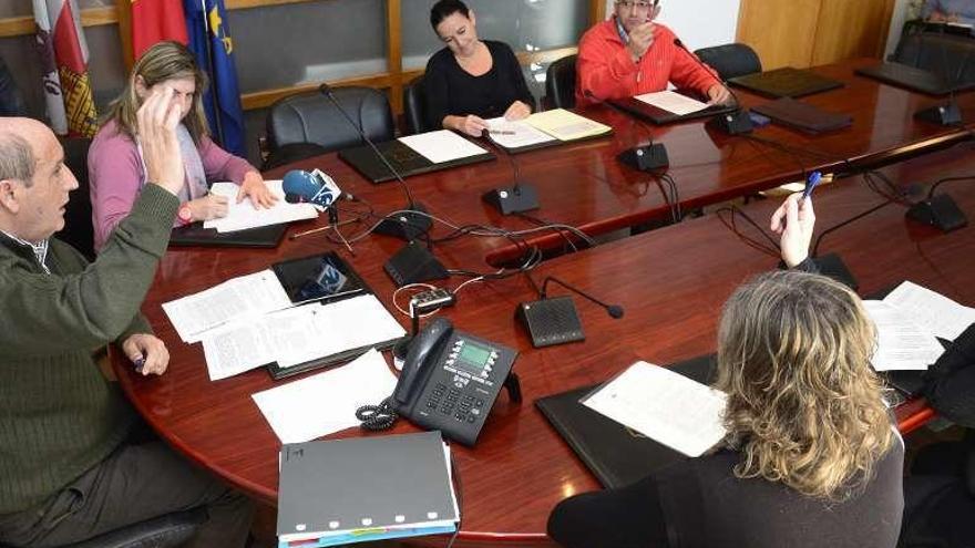 Un momento del pleno extraordinario del Ayuntamiento de Treviño.