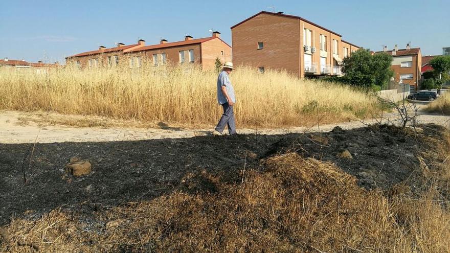 Terreny cremat a tocar del nucli de la Rosaleda després d&#039;un incendi el juny del 2017