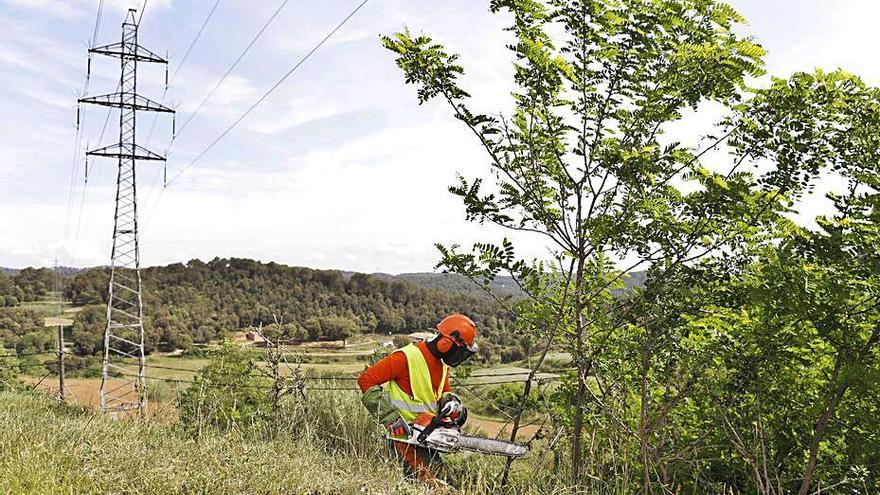 Un treballador d’Endesa esporgant sota una línia. | ANIOL RESCLOSA