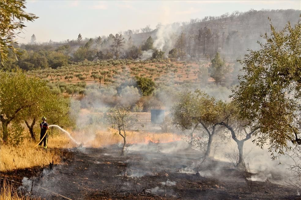 El incendio de ayer en Alcuéscar, en imágenes