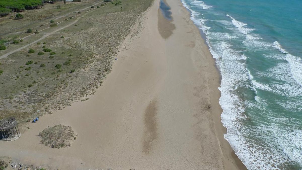 La platja del Remolar de Viladecans es mantindrà tancada fins al mes de juliol La platja del Remolar de Viladecans es mantindrà tancada fins al mes de juliol