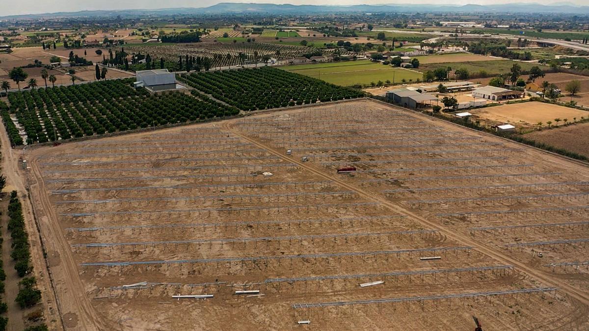 Solar en el que se ubicará la planta solar de Catral, iniciada el pasado mes de agosto