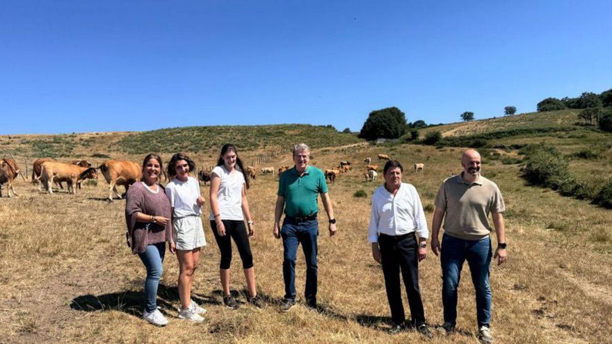 Explotación ganadera en Viana do Bolo. | FdV