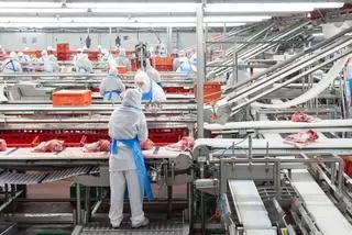 El porcino aragonés se hace de oro con el auge de las exportaciones