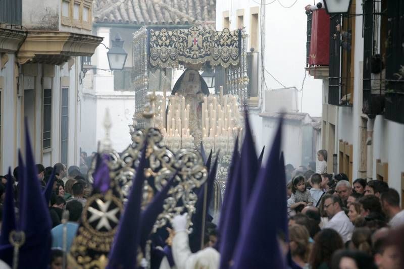 Domingo de Ramos en Córdoba