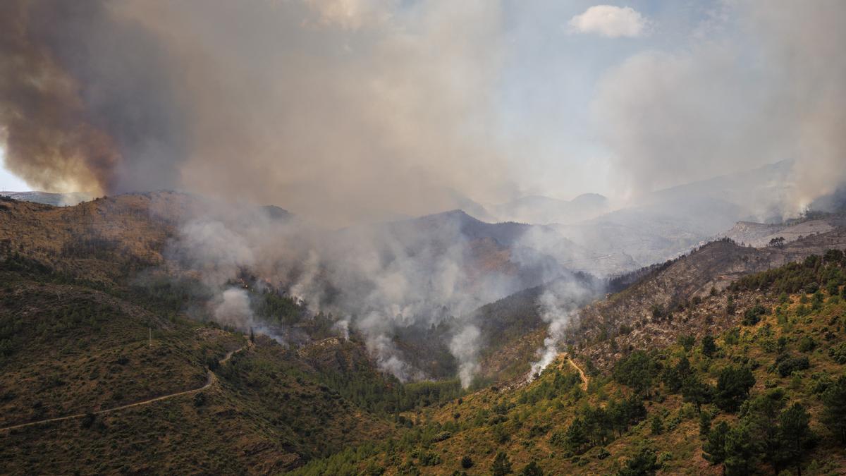 El humo de los incendios forestales en Castellón y Alicante llega a València