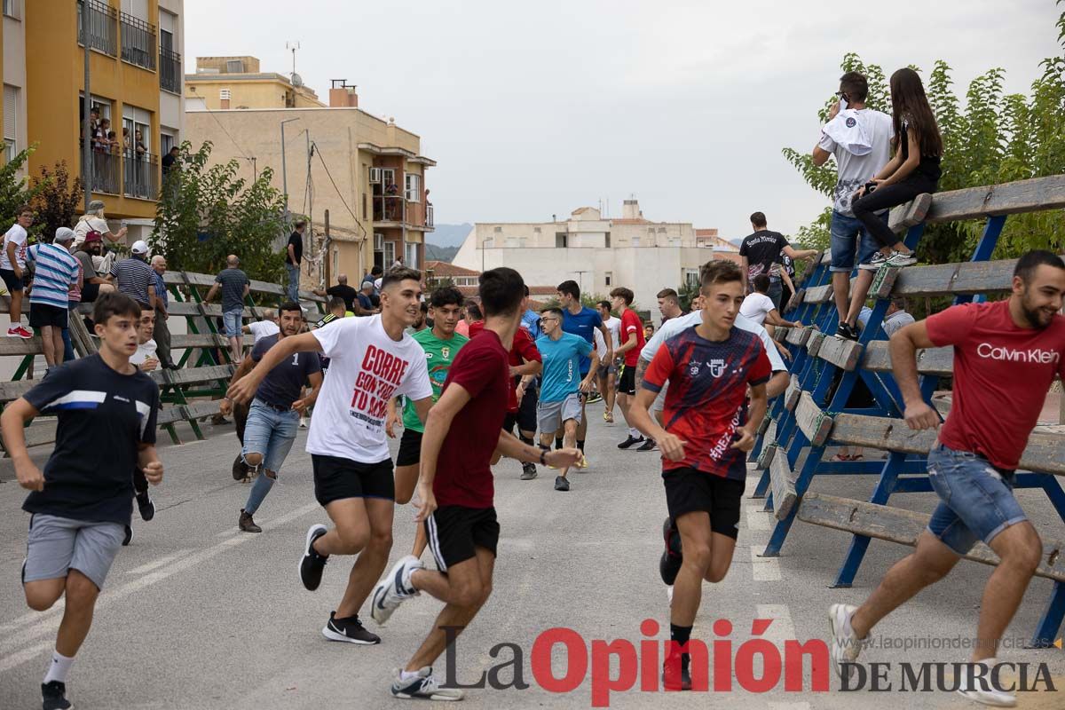 Chupinazo y encierro chico en Calasparra