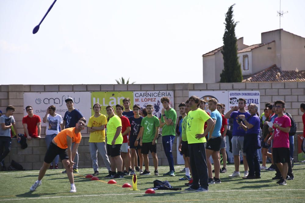 Más de 1.300 estudiantes de las comarcas de la Vega Baja y el Baix Vinalopó participan en la X edición de las Olimpiadas Clásicas.