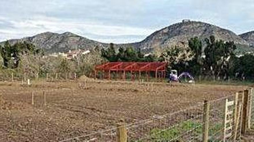 Torroella de Montgrí tindrà 28 parcel·les d&#039;horts urbans i ecològics