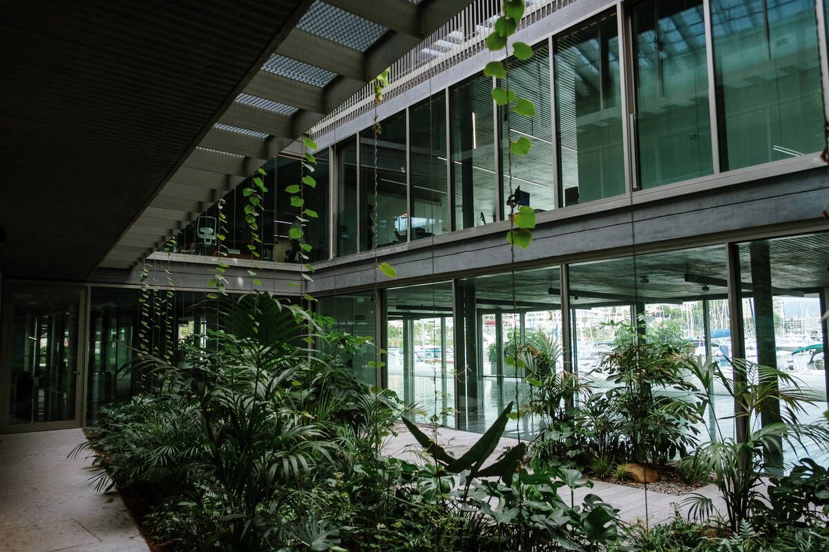 251010DMA_Bernardo A (225269333).jpg